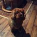 Edith Coady - Facebook