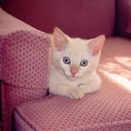 Edith Coates - Facebook