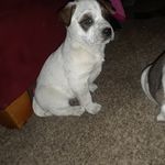 Edith Diane Coates - @edithdianecoates - Instagram