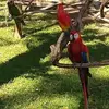 edithcollado266 - @edithcollado266 - TikTok