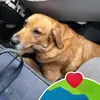 edithcollet - @edithcollet - TikTok