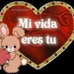 Edith Concepción Sanchez Alvar - @edithconcepcionsanchez - Instagram