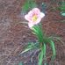 Edith Connolly - Facebook