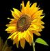 Edith Connolly - Facebook