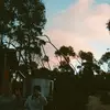 edieconstable - @edie.constable - TikTok