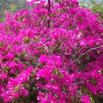 Edith Constantino - @edith.97133 - Instagram