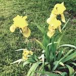 Edith Croft Ward Culvahouse - @dixielove1947 - Instagram