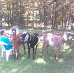 Edith Cunningham - Facebook