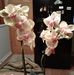 Edith Cunningham - Facebook