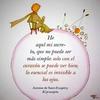 Edith Curiel - @edithcuriel0 - TikTok