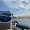 deweeses - @deweeses - TikTok