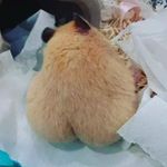 Edith Dominguez Ferrada - @edithdominguezferrada - Instagram