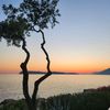 edith - @edith.dunn - TikTok