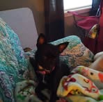 Edith Dye - Facebook