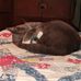 Edith Emerson - Facebook