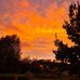 Edith Emery - Facebook