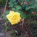 Edith Emery Figueredo - Facebook