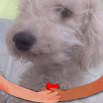 Edith Escobar - @edith.escobar.12979 - Instagram