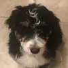 Meredith Farmer - @meredithfarmer - TikTok