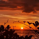 Edith Fernandez - @edith.fernandez.7528 - Instagram