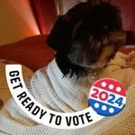 Edith Fitch - @efitch1412 - Instagram