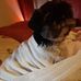 Edith Fitch - Facebook
