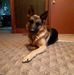 Edith Fitch - Facebook