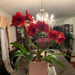 Edith Floyd - @berta.flores.5070 - Instagram