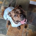 Edith & Foster - @edith_and_foster - Instagram