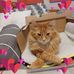 Edith Foster - Facebook