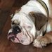Edith Foster - Facebook