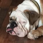 Edith Foster - @edith.foster.12 - Instagram