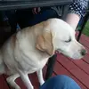 Edith Foster - @edith.foster - TikTok