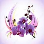 Edith Frey - @edith11frey - Instagram