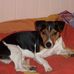 Edith Gerdes - Facebook