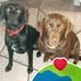 Edith Gerdes - Facebook