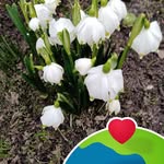 Edith Gerdes - @gerdes4079 - Instagram
