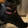 Edith Germes. - @edith.germes - TikTok