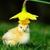 Edith Guy - Facebook