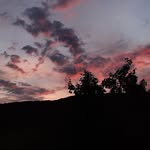 Edith Guyot - @edith.guyot46 - Instagram