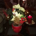 Edith Haase - @haase.edith - Instagram