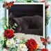 Edie Hadley - Facebook
