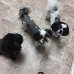Edith Hammock - Facebook