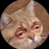 Edith Hancock - @edith.hancock - TikTok