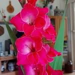 Edith Heller - @edithheller1 - Instagram