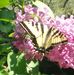 Edith Heller - Facebook