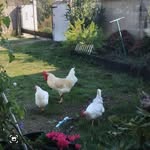 Edith Herbert - @poupiherbert - Instagram