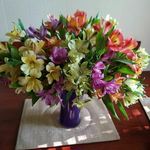Edith Hooker - @edithhooker - Instagram