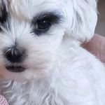 Edith Hopper - @_miss_edithhopper_ - Instagram