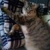 Edith Howell - Facebook